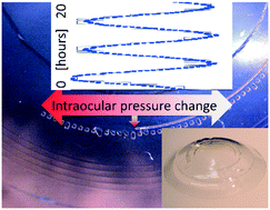 Graphical abstract: Ultra-sensitive microfluidic wearable strain sensor for intraocular pressure monitoring