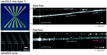 Graphical abstract: Gel-on-a-chip: continuous, velocity-dependent DNA separation using nanoscale lateral displacement