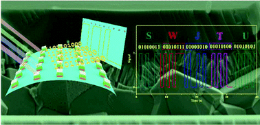 Graphical abstract: A piezo-phototronic enhanced serrate-structured ZnO-based heterojunction photodetector for optical communication