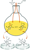 Graphical abstract: On the dual reactivity of a Janus-type mesoionic dipole: experiments and theoretical validation