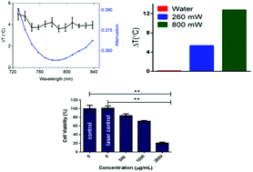 Graphical abstract: Investigation of the factors affecting the photothermal therapy potential of small iron oxide nanoparticles over the 730–840 nm spectral region