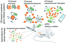 Graphical abstract: Cyclodextrin-based sustained gene release systems: a supramolecular solution towards clinical applications