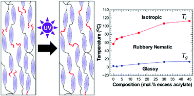 Graphical abstract: Thermomechanical properties of monodomain nematic main-chain liquid crystal elastomers