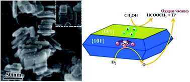 Graphical abstract: CuO/TiO2 heterojunction composites: an efficient photocatalyst for selective oxidation of methanol to methyl formate