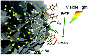Graphical abstract: Investigating the effect of MnO2 band gap in hybrid MnO2–Au materials over the SPR-mediated activities under visible light