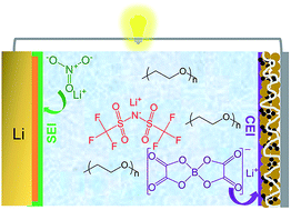 Graphical abstract: Solid-state polymer electrolytes stabilized by task-specific salt additives