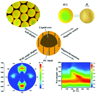 Graphical abstract: Eccentric 1-D magnetic core–shell photonic crystal balls: ingenious fabrication and distinctive optical properties
