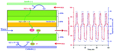 Graphical abstract: Fabrication of a two-membrane configured electrodialytic methanesulfonic acid generator for ion chromatography