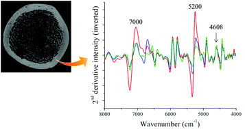 Graphical abstract: Near infrared spectroscopic assessment of loosely and tightly bound cortical bone water