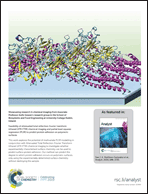 Graphical abstract: Back cover