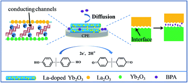 Graphical abstract: Application of a novel endocrine disruptor bisphenol A electrochemical sensor based on analogous heterostructure characteristics of La-doped Yb2O3 nanomaterials