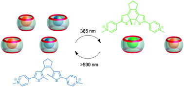 Graphical abstract: Light-driven control of the composition of a supramolecular network