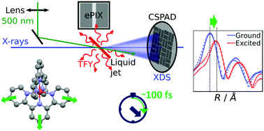 Graphical abstract: Resolving structures of transition metal complex reaction intermediates with femtosecond EXAFS