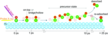 Graphical abstract: Time-resolved observation of transient precursor state of CO on Ru(0001) using carbon K-edge spectroscopy