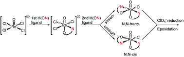 Graphical abstract: Stereoisomers and functional groups in oxidorhenium(v) complexes: effects on catalytic activity