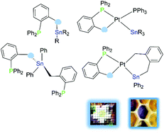 Graphical abstract: Bi- and tridentate stannylphosphines and their coordination to low-valent platinum