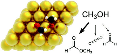 Graphical abstract: The role of oxygenated species in the catalytic self-coupling of MeOH on O pre-covered Au(111)