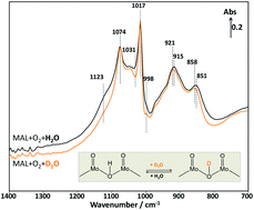 Graphical abstract: Elucidating the role of H2O in promoting the formation of methacrylic acid during the oxidation of methacrolein over heteropolyacid compounds