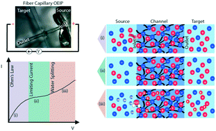 Graphical abstract: Overcoming transport limitations in miniaturized electrophoretic delivery devices