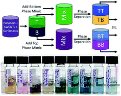 Graphical abstract: Aqueous two-polymer phase extraction of single-wall carbon nanotubes using surfactants