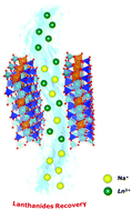 Graphical abstract: Synthetic saponite clays as promising solids for lanthanide ion recovery