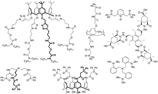 Graphical abstract: Supramolecular ligands for the extraction of lanthanide and actinide ions