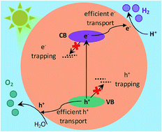 Graphical abstract: Origin of the overall water splitting activity of Ta3N5 revealed by ultrafast transient absorption spectroscopy