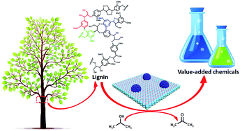 Graphical abstract: Selective cleavage of lignin and lignin model compounds without external hydrogen, catalyzed by heterogeneous nickel catalysts