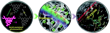 Graphical abstract: A H-bond strategy to develop acid-resistant photoswitchable rhodamine spirolactams for super-resolution single-molecule localization microscopy