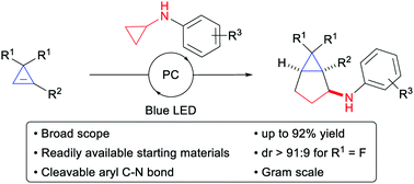 Graphical abstract: Synthesis of bicyclo[3.1.0]hexanes by (3 + 2) annulation of cyclopropenes with aminocyclopropanes