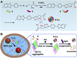 Graphical abstract: Self-triggered click reaction in an Alzheimer's disease model: in situ bifunctional drug synthesis catalyzed by neurotoxic copper accumulated in amyloid-β plaques