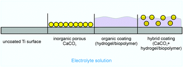 Graphical abstract: The effect of hybrid coatings based on hydrogel, biopolymer and inorganic components on the corrosion behavior of titanium bone implants