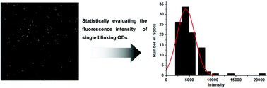 Graphical abstract: A method for the statistical evaluation of the fluorescence intensity of single blinking quantum dots using a confocal fluorescence microscope