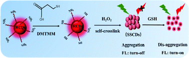 Graphical abstract: Disulfide bond-based self-crosslinked carbon-dots for turn-on fluorescence imaging of GSH in living cells