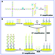 Graphical abstract: Enzyme-free and triple-amplified electrochemical sensing of 8-hydroxy-2′-deoxyguanosine by three kinds of short pDNA-driven catalyzed hairpin assemblies followed by a hybridization chain reaction