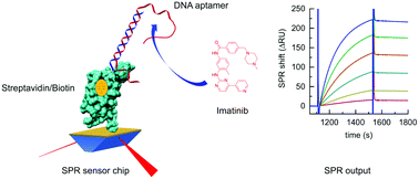 Graphical abstract: An SPR investigation into the therapeutic drug monitoring of the anticancer drug imatinib with selective aptamers operating in human plasma
