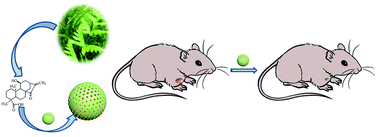 Graphical abstract: Ent-11α-hydroxy-15-oxo-kaur-16-en-19-oic acid loaded onto fluorescent mesoporous silica nanoparticles for the location and therapy of nasopharyngeal carcinoma