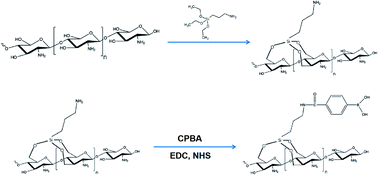 Graphical abstract: Preparation of a boronate-affinity monolithic column for adsorption of nucleosides