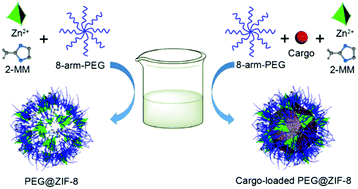 Graphical abstract: Poly(ethylene glycol)-mediated mineralization of metal–organic frameworks