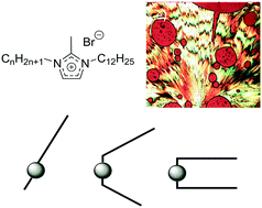 Graphical abstract: Developing design tools for introducing and tuning structural order in ionic liquids