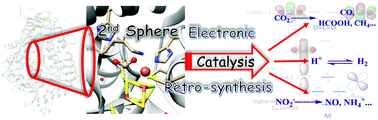 Graphical abstract: Biochemical and artificial pathways for the reduction of carbon dioxide, nitrite and the competing proton reduction: effect of 2nd sphere interactions in catalysis