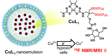 Graphical abstract: Responsive fluorinated nanoemulsions for 19F magnetic resonance detection of cellular hypoxia