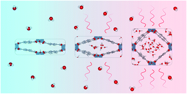 Graphical abstract: Atomistic insight in the flexibility and heat transport properties of the stimuli-responsive metal–organic framework MIL-53(Al) for water-adsorption applications using molecular simulations