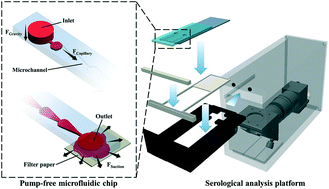 Graphical abstract: A flux-adaptable pump-free microfluidics-based self-contained platform for multiplex cancer biomarker detection