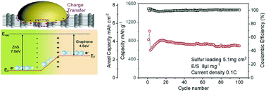 Graphical abstract: Inducing rapid polysulfide transformation through enhanced interfacial electronic interaction for lithium–sulfur batteries