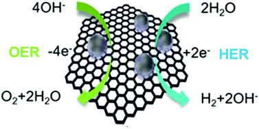 Graphical abstract: Carbon supported noble metal nanoparticles as efficient catalysts for electrochemical water splitting