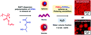 Graphical abstract: Synthesis of poly(stearyl methacrylate)-poly(2-hydroxypropyl methacrylate) diblock copolymer nanoparticles via RAFT dispersion polymerization of 2-hydroxypropyl methacrylate in mineral oil