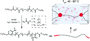 Graphical abstract: Controlling properties of thermogels by tuning critical solution behaviour of ternary copolymers