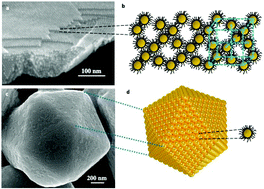 Graphical abstract: Light interactions with supracrystals either deposited on a substrate or dispersed in water