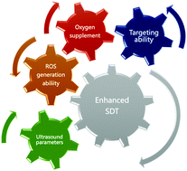 Graphical abstract: The molecular design of and challenges relating to sensitizers for cancer sonodynamic therapy